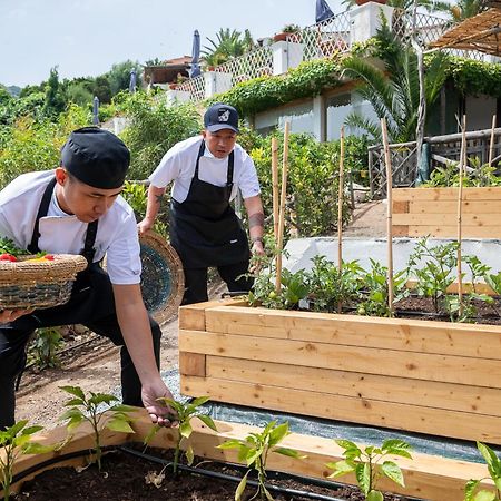 Hotel Balocco Πόρτο Τσέρβο Εξωτερικό φωτογραφία